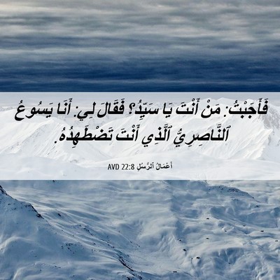 Picture 06 - أَعْمَالُ ٱلرُّسُلِ 22:8 AVD - فَأَجَبْتُ: مَنْ أَنْتَ - Bible Verse Picture