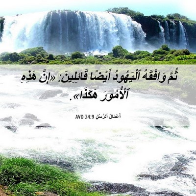 Picture 06 - أَعْمَالُ ٱلرُّسُلِ 24:9 AVD - ثُمَّ وَافَقَهُ - Bible Verse Picture