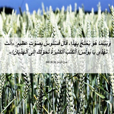 Picture 06 - أَعْمَالُ ٱلرُّسُلِ 26:24 AVD - وَبَيْنَمَا هُوَ - Bible Verse Picture