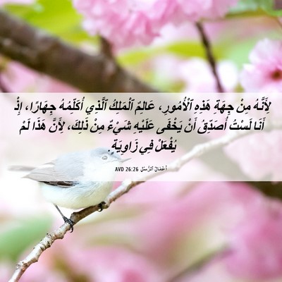 Picture 06 - أَعْمَالُ ٱلرُّسُلِ 26:26 AVD - لِأَنَّهُ مِنْ جِهَةِ - Bible Verse Picture