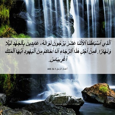 Picture 06 - أَعْمَالُ ٱلرُّسُلِ 26:7 AVD - ٱلَّذِي أَسْبَاطُنَا - Bible Verse Picture