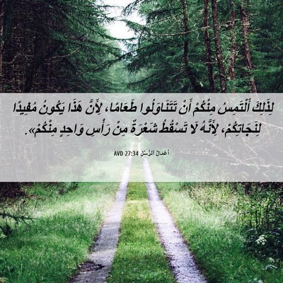 Picture 06 - أَعْمَالُ ٱلرُّسُلِ 27:34 AVD - لِذَلِكَ أَلْتَمِسُ - Bible Verse Picture