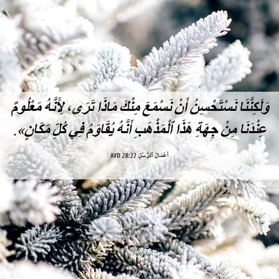 Picture 06 - أَعْمَالُ ٱلرُّسُلِ 28:22 AVD - وَلَكِنَّنَا نَسْتَحْسِنُ - Bible Verse Picture