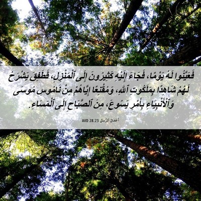 Picture 06 - أَعْمَالُ ٱلرُّسُلِ 28:23 AVD - فَعَيَّنُوا لَهُ يَوْمًا، - Bible Verse Picture