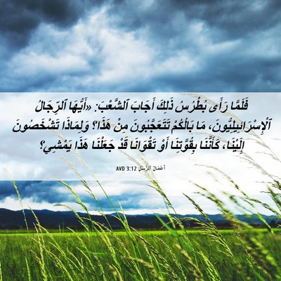 Picture 06 - أَعْمَالُ ٱلرُّسُلِ 3:12 AVD - فَلَمَّا رَأَى بُطْرُسُ - Bible Verse Picture