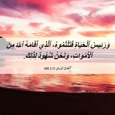 Picture 06 - أَعْمَالُ ٱلرُّسُلِ 3:15 AVD - وَرَئِيسُ ٱلْحَيَاةِ - Bible Verse Picture