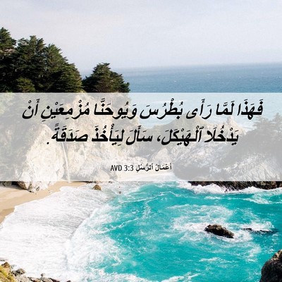 Picture 06 - أَعْمَالُ ٱلرُّسُلِ 3:3 AVD - فَهَذَا لَمَّا رَأَى - Bible Verse Picture