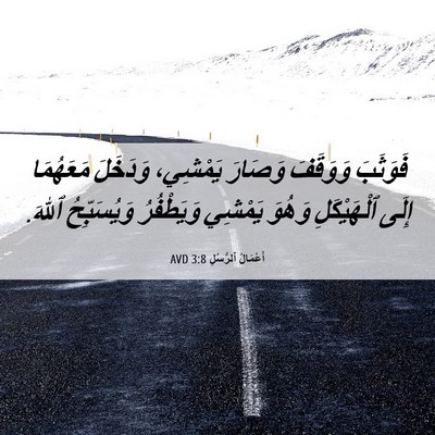 Picture 06 - أَعْمَالُ ٱلرُّسُلِ 3:8 AVD - فَوَثَبَ وَوَقَفَ وَصَارَ - Bible Verse Picture