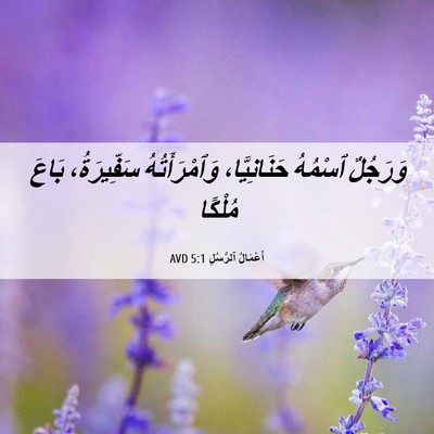 Picture 06 - أَعْمَالُ ٱلرُّسُلِ 5:1 AVD - وَرَجُلٌ ٱسْمُهُ - Bible Verse Picture