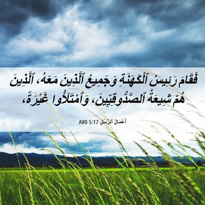 Picture 06 - أَعْمَالُ ٱلرُّسُلِ 5:17 AVD - فَقَامَ رَئِيسُ - Bible Verse Picture