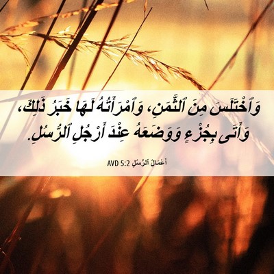 Picture 06 - أَعْمَالُ ٱلرُّسُلِ 5:2 AVD - وَٱخْتَلَسَ مِنَ - Bible Verse Picture