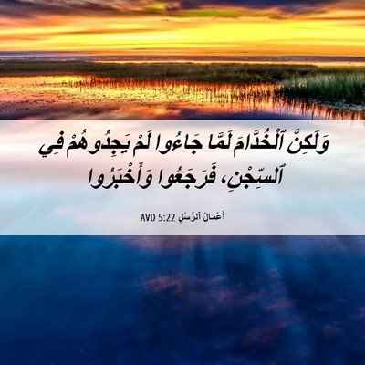 Picture 06 - أَعْمَالُ ٱلرُّسُلِ 5:22 AVD - وَلَكِنَّ ٱلْخُدَّامَ - Bible Verse Picture