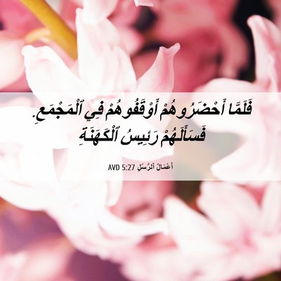 Picture 06 - أَعْمَالُ ٱلرُّسُلِ 5:27 AVD - فَلَمَّا أَحْضَرُوهُمْ - Bible Verse Picture