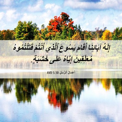 Picture 06 - أَعْمَالُ ٱلرُّسُلِ 5:30 AVD - إِلَهُ آبَائِنَا أَقَامَ - Bible Verse Picture