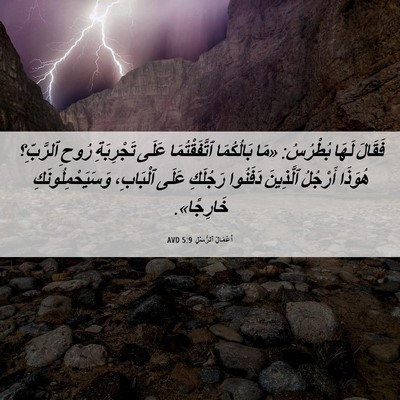 Picture 06 - أَعْمَالُ ٱلرُّسُلِ 5:9 AVD - فَقَالَ لَهَا بُطْرُسُ: - Bible Verse Picture