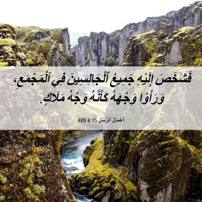 Picture 06 - أَعْمَالُ ٱلرُّسُلِ 6:15 AVD - فَشَخَصَ إِلَيْهِ جَمِيعُ - Bible Verse Picture