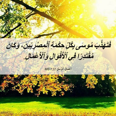 Picture 06 - أَعْمَالُ ٱلرُّسُلِ 7:22 AVD - فَتَهَذَّبَ مُوسَى - Bible Verse Picture