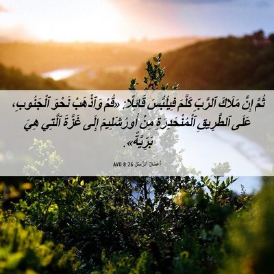Picture 06 - أَعْمَالُ ٱلرُّسُلِ 8:26 AVD - ثُمَّ إِنَّ مَلَاكَ - Bible Verse Picture