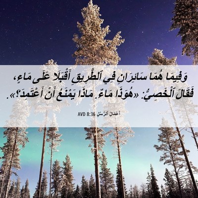 Picture 06 - أَعْمَالُ ٱلرُّسُلِ 8:36 AVD - وَفِيمَا هُمَا سَائِرَانِ - Bible Verse Picture