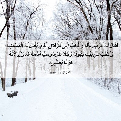 Picture 06 - أَعْمَالُ ٱلرُّسُلِ 9:11 AVD - فَقَالَ لَهُ ٱلرَّبُّ: - Bible Verse Picture