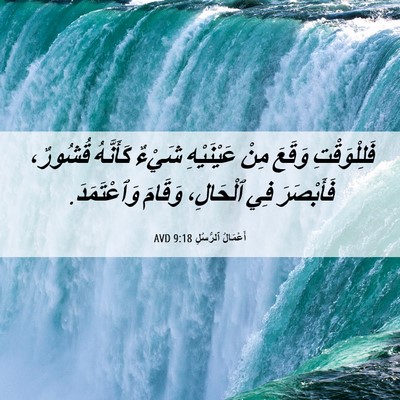 Picture 06 - أَعْمَالُ ٱلرُّسُلِ 9:18 AVD - فَلِلْوَقْتِ وَقَعَ مِنْ - Bible Verse Picture