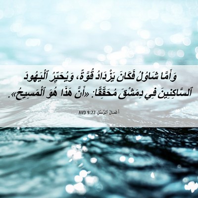 Picture 06 - أَعْمَالُ ٱلرُّسُلِ 9:22 AVD - وَأَمَّا شَاوُلُ فَكَانَ - Bible Verse Picture