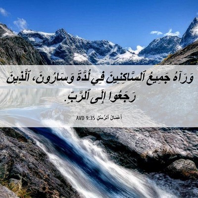 Picture 06 - أَعْمَالُ ٱلرُّسُلِ 9:35 AVD - وَرَآهُ جَمِيعُ - Bible Verse Picture