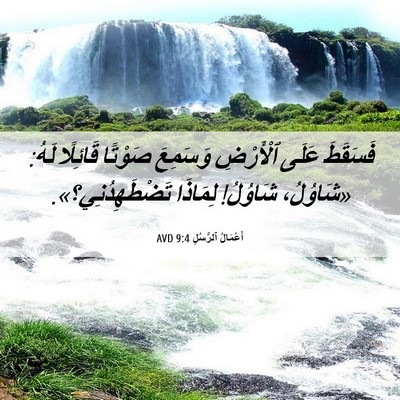 Picture 06 - أَعْمَالُ ٱلرُّسُلِ 9:4 AVD - فَسَقَطَ عَلَى ٱلْأَرْضِ - Bible Verse Picture