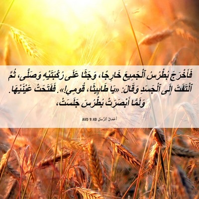 Picture 06 - أَعْمَالُ ٱلرُّسُلِ 9:40 AVD - فَأَخْرَجَ بُطْرُسُ - Bible Verse Picture