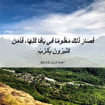 Picture 06 - أَعْمَالُ ٱلرُّسُلِ 9:42 AVD - فَصَارَ ذَلِكَ مَعْلُومًا - Bible Verse Picture
