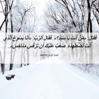 Picture 06 - أَعْمَالُ ٱلرُّسُلِ 9:5 AVD - فَقَالَ: «مَنْ أَنْتَ يَا - Bible Verse Picture