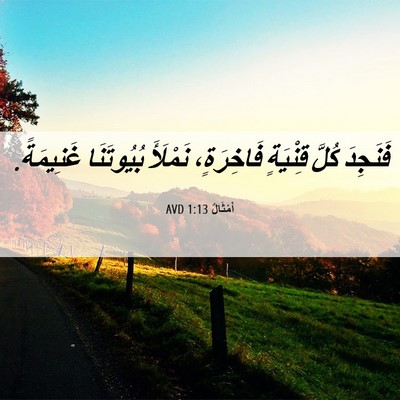 Picture 06 - أَمْثَالٌ 1:13 AVD - فَنَجِدَ كُلَّ قِنْيَةٍ - Bible Verse Picture