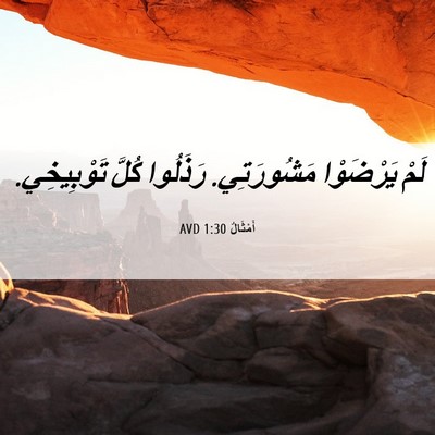 Picture 06 - أَمْثَالٌ 1:30 AVD - لَمْ يَرْضَوْا مَشُورَتِي. - Bible Verse Picture