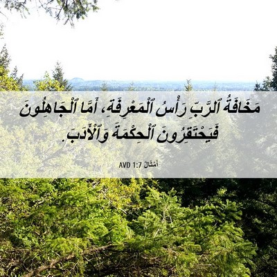 Picture 06 - أَمْثَالٌ 1:7 AVD - مَخَافَةُ ٱلرَّبِّ رَأْسُ - Bible Verse Picture