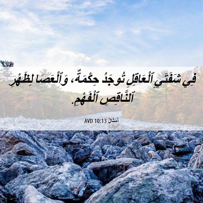 Picture 06 - أَمْثَالٌ 10:13 AVD - فِي شَفَتَيِ ٱلْعَاقِلِ - Bible Verse Picture
