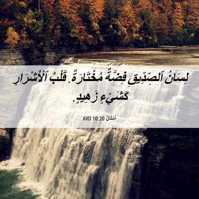 Picture 06 - أَمْثَالٌ 10:20 AVD - لِسَانُ ٱلصِّدِّيقِ - Bible Verse Picture