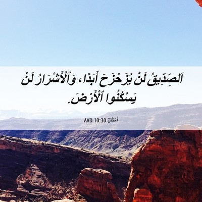 Picture 06 - أَمْثَالٌ 10:30 AVD - اَلصِّدِّيقُ لَنْ - Bible Verse Picture