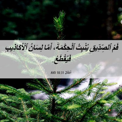 Picture 06 - أَمْثَالٌ 10:31 AVD - فَمُ ٱلصِّدِّيقِ يُنْبِتُ - Bible Verse Picture