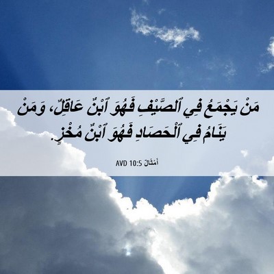 Picture 06 - أَمْثَالٌ 10:5 AVD - مَنْ يَجْمَعُ فِي - Bible Verse Picture