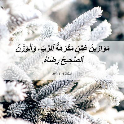 Picture 06 - أَمْثَالٌ 11:1 AVD - مَوَازِينُ غِشٍّ - Bible Verse Picture