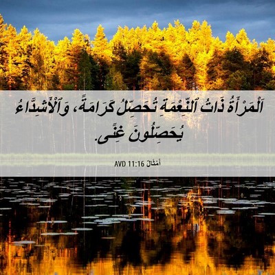 Picture 06 - أَمْثَالٌ 11:16 AVD - اَلْمَرْأَةُ ذَاتُ - Bible Verse Picture