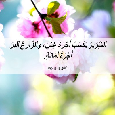 Picture 06 - أَمْثَالٌ 11:18 AVD - اَلشِّرِّيرُ يَكْسَبُ - Bible Verse Picture