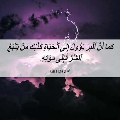 Picture 06 - أَمْثَالٌ 11:19 AVD - كَمَا أَنَّ ٱلْبِرَّ - Bible Verse Picture