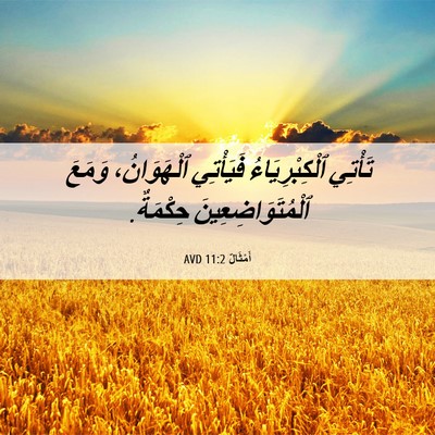 Picture 06 - أَمْثَالٌ 11:2 AVD - تَأْتِي ٱلْكِبْرِيَاءُ - Bible Verse Picture