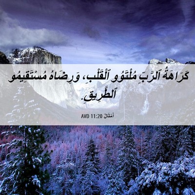 Picture 06 - أَمْثَالٌ 11:20 AVD - كَرَاهَةُ ٱلرَّبِّ - Bible Verse Picture