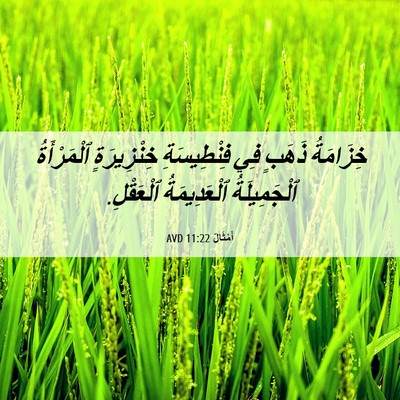 Picture 06 - أَمْثَالٌ 11:22 AVD - خِزَامَةُ ذَهَبٍ فِي - Bible Verse Picture