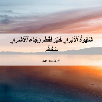 Picture 06 - أَمْثَالٌ 11:23 AVD - شَهْوَةُ ٱلْأَبْرَارِ - Bible Verse Picture
