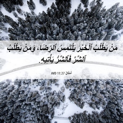 Picture 06 - أَمْثَالٌ 11:27 AVD - مَنْ يَطْلُبُ ٱلْخَيْرَ - Bible Verse Picture