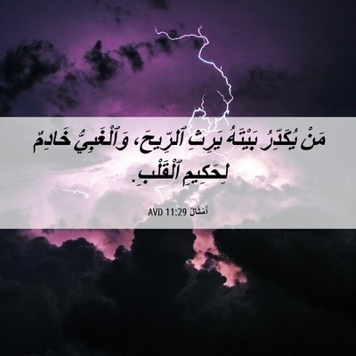 Picture 06 - أَمْثَالٌ 11:29 AVD - مَنْ يُكَدِّرُ بَيْتَهُ - Bible Verse Picture