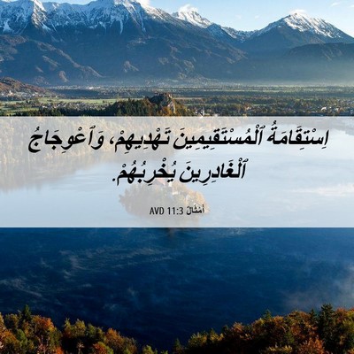 Picture 06 - أَمْثَالٌ 11:3 AVD - اِسْتِقَامَةُ - Bible Verse Picture